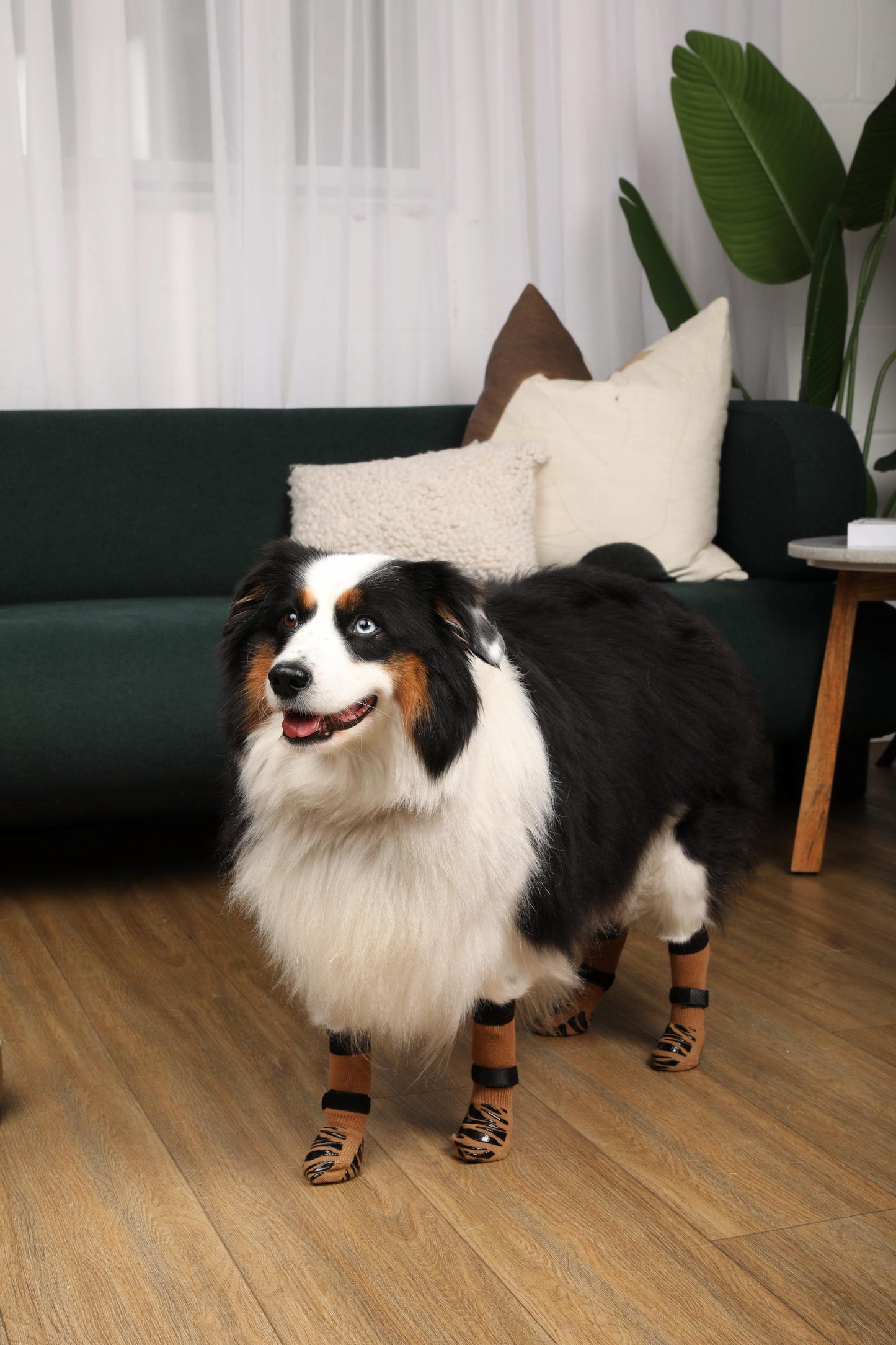 Tigertoes Premium Non-Slip Dog Socks