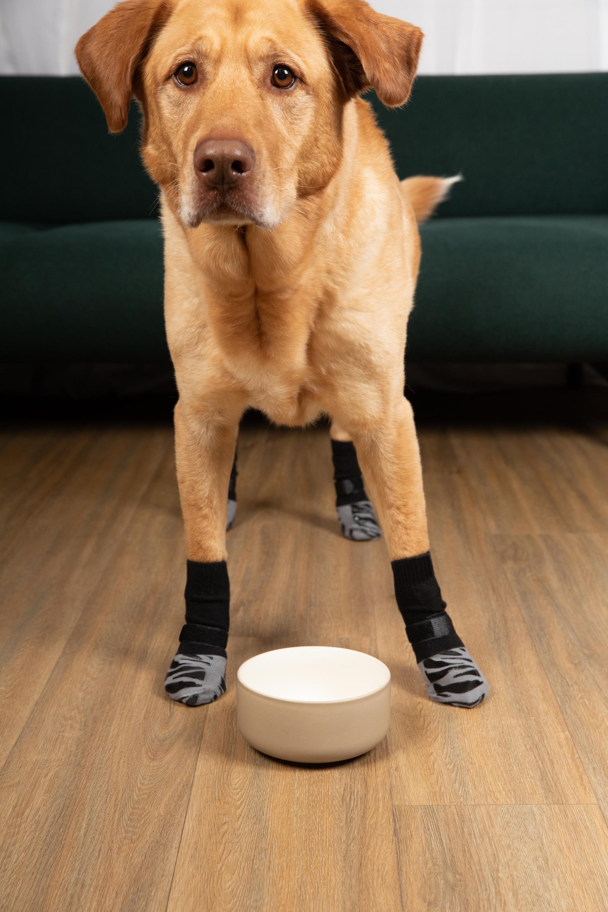 Tigertoes Premium Non-Slip Dog Socks