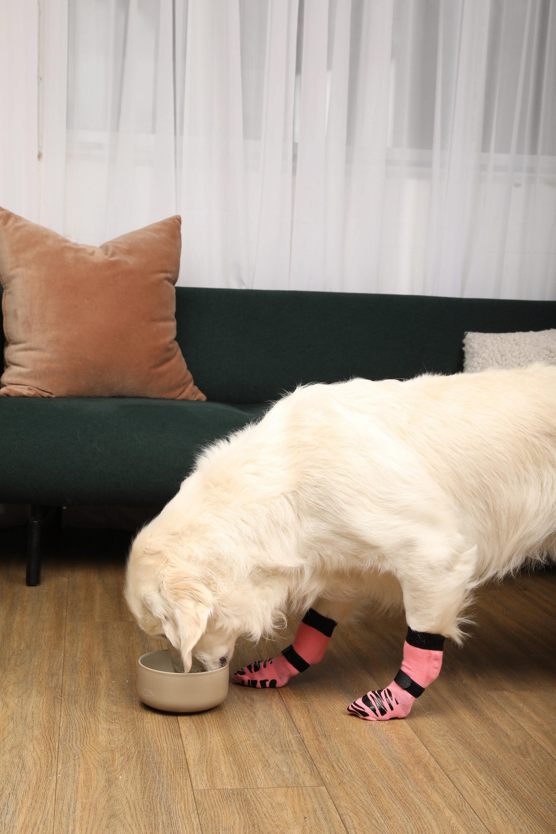 Tigertoes Premium Non-Slip Dog Socks