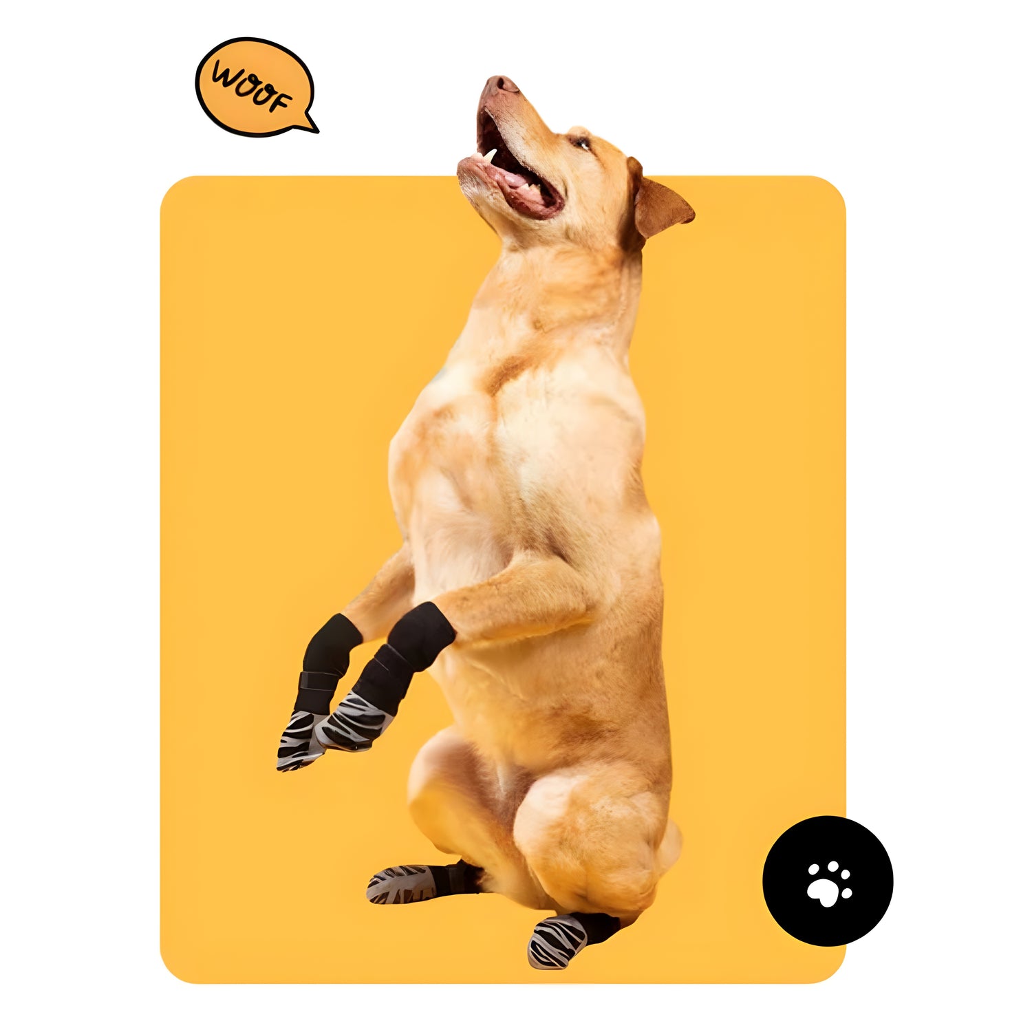 Design sans titre (1) (1).png__PID:4e812651-d4d3-44d0-b0d6-de6880da519b